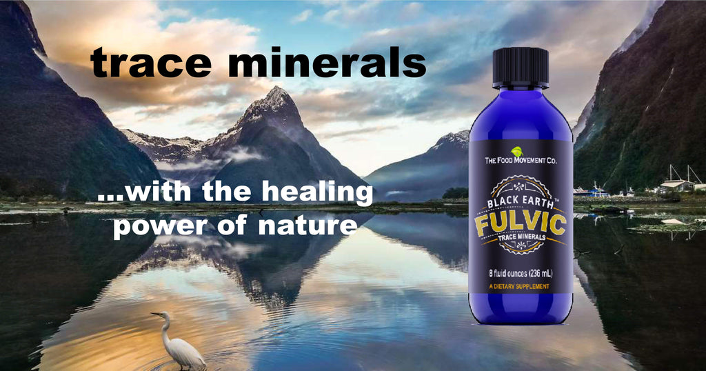 Black Earth Fulvic Trace Minerals (8 ounces) - The Food Movement Co.