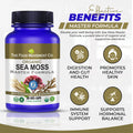 Sea Moss Master Formula - certified organic (Irish Sea Moss, Burdock Root & Bladderwrack) 60 or 120 vegan capsules