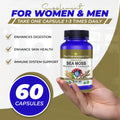 Sea Moss Master Formula - certified organic (Irish Sea Moss, Burdock Root & Bladderwrack) 60 or 120 vegan capsules