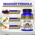 Sea Moss Master Formula - certified organic (Irish Sea Moss, Burdock Root & Bladderwrack) 60 or 120 vegan capsules