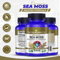 Sea Moss Master Formula - certified organic (Irish Sea Moss, Burdock Root & Bladderwrack) 60 or 120 vegan capsules