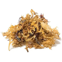 Organic Irish Moss