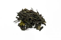 Organic Bladderwrack