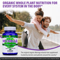 Moringa, organic - 100 vegcaps