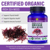 Irish Sea Moss, 60 vegan capsules - organic sea minerals prebiotic food for detox and thyroid support immune health - The Food Movement Natural Products Company